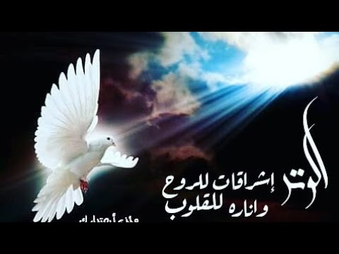 اغاني اسلامية جديدة - اجمل ماتسمع من اغانى دينيه 2484