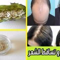 3214 4 علاج تساقط الشعر- تعرف على علاج الشعر زاوية التامل