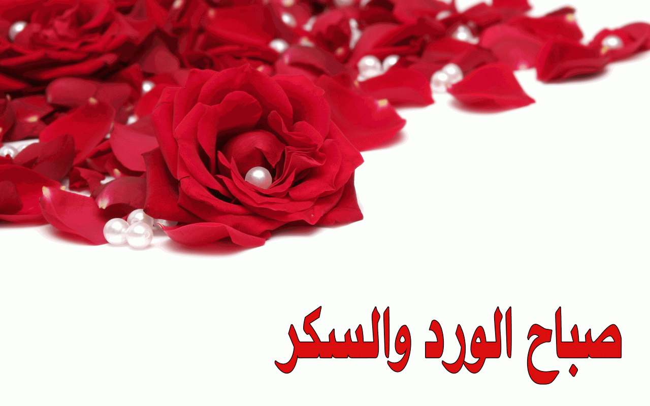 3085 1 احلى صباح للحبيب- اجمل كلمات للحبيب عمر الطويل